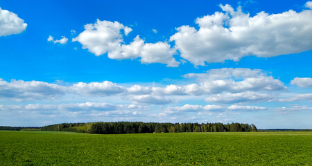 Green grass field and blue sky with white clouds,panoramic view.