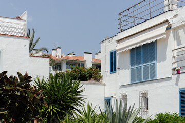 Green plants and bushes near houses with white exteriors and blue sky at background in Catalonia, Spain