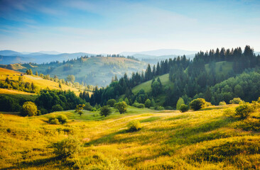 Fantastic countryside landscape in morning light. Location place Carpathian mountains, Ukraine, Europe.