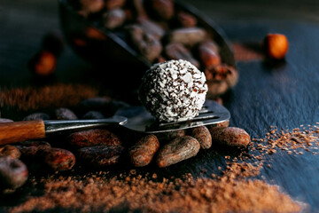 Coconut candy on scoop around cocoa beans and cocoa powder, close up on dark stone background. Chocolate coconut ball. Side view