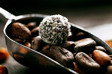 Coconut candy on cocoa beans laying inside measuring scoop.