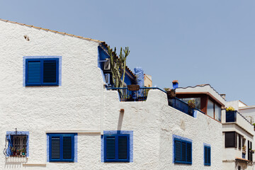 Cactus on house terrace with clear sky at background, Catalonia, Spain