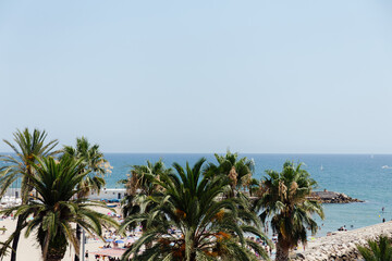 Fototapeta na wymiar Palm trees and sea coast with blue sky at background in Catalonia, Spain