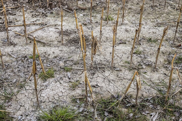 Detailed close up view on dry agricultural grounds and acre in high resolution