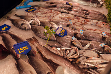 Close up view of raw fishes with price tags on ice on shop showcase in Catalonia, Spain