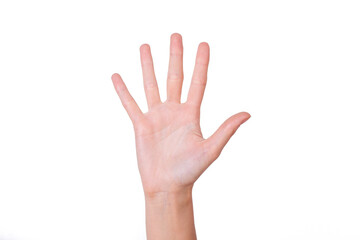 open woman hand palm on the white back gorund