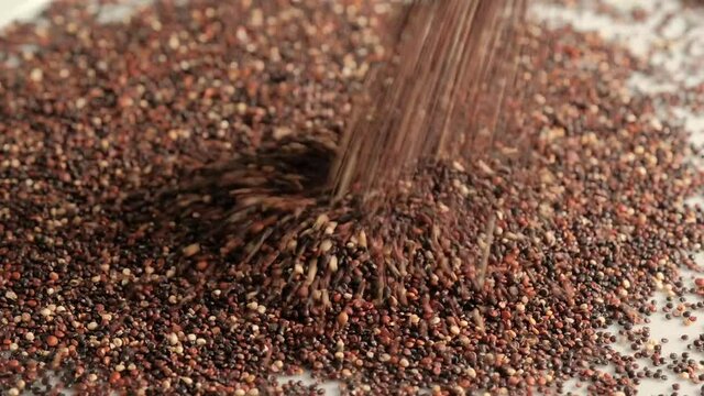 Black raw quinoa falling. Healthy and gluten free food background concept.