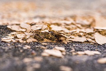 crumbling slate rock disintegrates into layers