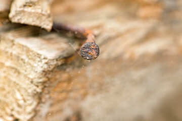 rusty old nail with blurred background