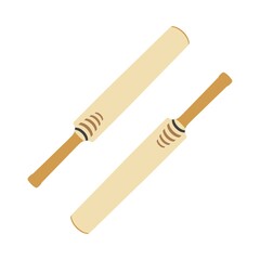 Cricket bat