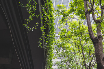 Indoor park in a shopping mall