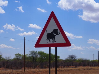 A traffic sign with a picture of a warthog, Opuwo, Namibia