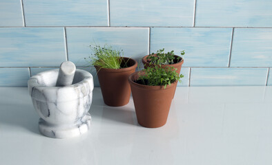 Terracotta pots with a grey marble mortar on white table and ceramic blue wall.