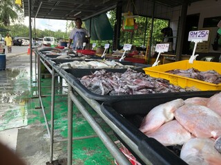 Small local fish market selling fresh fish next to the dusty street under questionable hygienic...