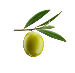 aceitunas en conserva