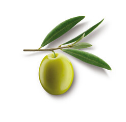 aceitunas en conserva