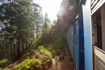 train in the forest in sri lanka