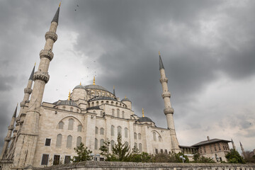 Fototapeta premium Blue mosque, Istanbul, Turkey
