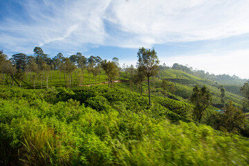 landscape with green hills and clouds