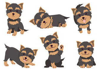 The collection of Yorkshire terrier in many action. Graphic resource about set of dogs Yorkshire terrier for graphic, content, etc. 
 - obrazy, fototapety, plakaty