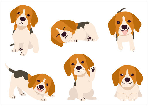 The collection of beagle in many action. Graphic resource about beagle for graphic, content, etc. 
