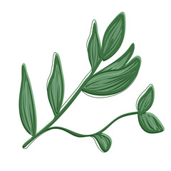 Green branch with leaves plant vector image