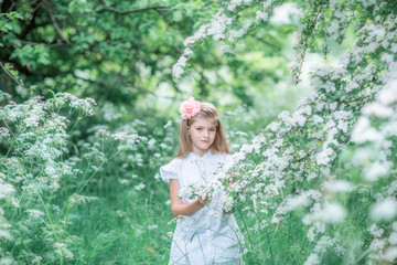 Naklejka premium A 8 year old girl in a white dress with a pink flower in her hair in a green meadow with Apple trees in bloom