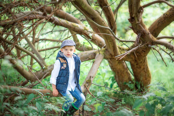 Naklejka na ściany i meble 5 year old blond boy in a cap sitting on a branching tree