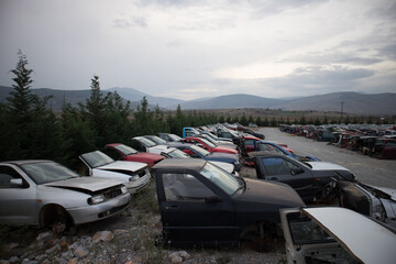 Half cut cars in lines, during the dusk. At a car cemetery. Awaiting dismantling, recycle or re-sale. More motorcars in background.