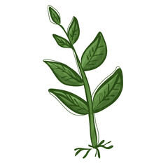 A small sprout of a tree vector image