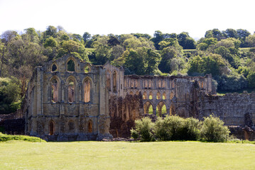 Rievaulx Abbey exterior with trees in the  North York Moors National Park, United Kingdom