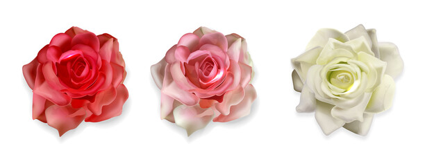 Realistic rose isolated set with white background, beautiful pink flower vector illustration, hello spring, weeding banner