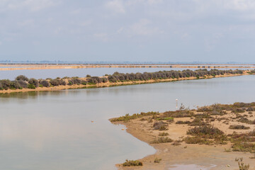 DELTA DE L'EBRE, TARRAGONA, CATALUNYA, SPAIN - JUNE 5, 2019: Beach of "punta de la banya" Bird breeding reserve.