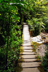 Cocora valley, Salento, Colombia, South America