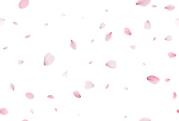 Seamless sakura petals. Falling realistic cherry petals