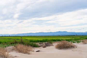 DELTA DE L'EBRE, TARRAGONA, CATALUNYA, SPAIN - JUNE 5, 2019: Beach of 