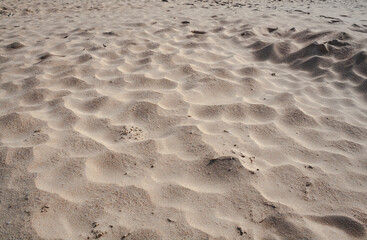 Sweet sandy beach in the Philippines