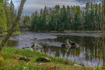 Photo of scandinavian nature. Swedish forest. Farnebofjarden national park. River view.