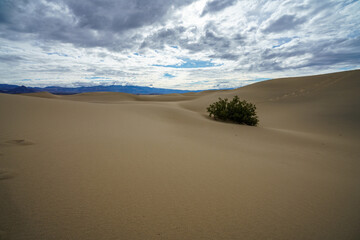 mesquite flat sand dunes in death valley national park in california, usa