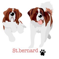 Cute St.Bernard dog collection Free Hand Drawing Vector in different Poses.