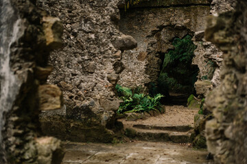Sintra/Portugal-06.25.2019: Beautiful mysterious ruins in Monserrate gardens, Sintra, Portugal 