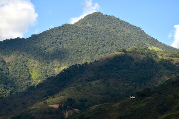 Extensa vegetación en una montaña tomada por la mañana
