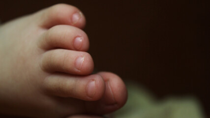 baby feet
