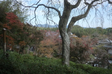 龍安寺
