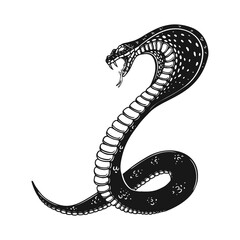 Fototapeta premium Illustration of poisonous snake in engraving style. Design element for logo, label, emblem, sign, badge. Vector illustration