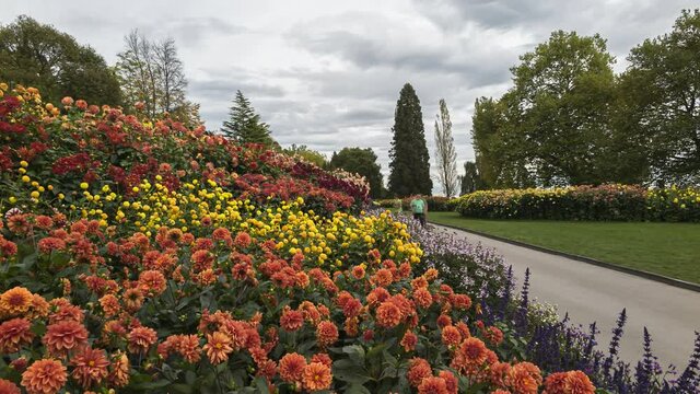 Mainau, Germany - October 8, 2014: Mainau is an island in Lake Constance. It is maintained as a garden island and a model of excellent environmental practices. Time lapse.