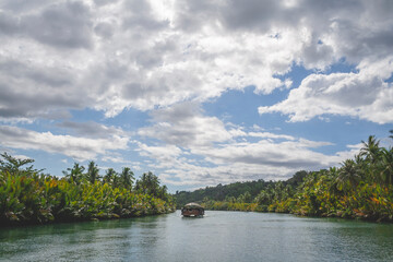 Fototapeta na wymiar Beautiful landscape in Bohol, Loboc River, Philippines