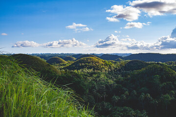 Beautiful scenery of the Chocolate Hills in Bohol, Philippines