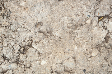 Old Dirt Rough Cement Wall Grunge Background, Backdrop. Abstract Aged Textured Pattern