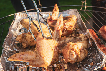 Outdoor picnic. Grilled meat. Closeup.